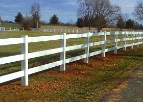 gray horse fence